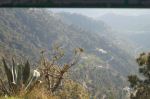 Looking into a valley in Kasauli