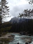 Water in Yoho