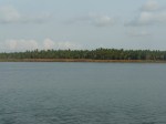 River Godavari
