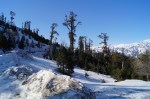 Area on the way to Rohtang where you can play in the snow