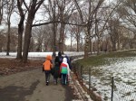 Walking in central park