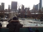 Watching in Central Park Zoo