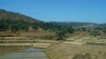 Fields in Shimliguda on the way to Araku