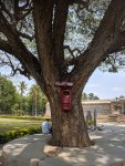 Postbox at Somanathpur